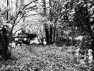 Filename : IMG_5246.jpeg
Filesize : 1361KB
Dimensions : 1750x1312
Date added : Dec 05, 2023 IMG_5246.jpeg