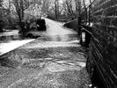 Filename : IMG_5249.jpeg
Filesize : 1239KB
Dimensions : 1750x1313
Date added : Dec 05, 2023 IMG_5249.jpeg