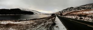 Filename : IMG_6968b.jpg
Filesize : 708KB
Dimensions : 1417x463
Date added : Feb 28, 2018 IMG_6968b.jpg
