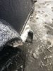 Filename : IMG_7034.JPG
Filesize : 1661KB
Dimensions : 1750x2333
Date added : Mar 02, 2018 IMG_7034.JPG