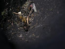 Filename : pre_filter_4~0.jpg
Filesize : 99KB
Dimensions : 600x450
Date added : Aug 15, 2021 pre_filter_4~0.jpg