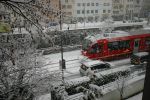 Filename : DSC_0068.JPG
Filesize : 1114KB
Dimensions : 1750x1164
Date added : Feb 27, 2018 DSC_0068.JPG