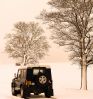 Filename : LRO~0.jpg
Filesize : 1147KB
Dimensions : 1750x1876
Date added : Feb 19, 2016 LRO~0.jpg