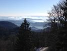 Filename : IMG_1162.JPG
Filesize : 434KB
Dimensions : 1750x1312
Date added : Jan 01, 2017 IMG_1162.JPG