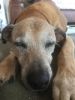 Filename : IMG_1349.JPG
Filesize : 1224KB
Dimensions : 1750x2333
Date added : Jul 28, 2018 IMG_1349.JPG
