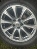 IMG_8993.jpeg
