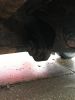 Filename : IMG_6738.JPG
Filesize : 787KB
Dimensions : 1750x2333
Date added : Feb 07, 2017 IMG_6738.JPG