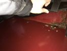 Filename : IMG_6762.JPG
Filesize : 272KB
Dimensions : 1750x1312
Date added : Feb 07, 2017 IMG_6762.JPG