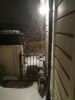 Filename : IMG_20180301_203148~0.jpg
Filesize : 1026KB
Dimensions : 1750x2333
Date added : Mar 01, 2018 IMG_20180301_203148~0.jpg