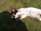 Filename : IMG_20180825_130749.jpg
Filesize : 837KB
Dimensions : 1750x1313
Date added : Aug 26, 2018 IMG_20180825_130749.jpg