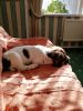 Filename : IMG_20180825_165841.jpg
Filesize : 1240KB
Dimensions : 1750x2333
Date added : Aug 26, 2018 IMG_20180825_165841.jpg