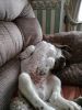 Filename : IMG_20180826_122138.jpg
Filesize : 1246KB
Dimensions : 1750x2333
Date added : Aug 26, 2018 IMG_20180826_122138.jpg