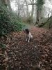 Filename : IMG_20181231_090209.jpg
Filesize : 2034KB
Dimensions : 1750x2333
Date added : Dec 31, 2018 IMG_20181231_090209.jpg