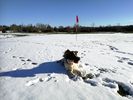 Filename : IMG_20190202_101815.jpg
Filesize : 613KB
Dimensions : 1750x1313
Date added : Feb 02, 2019 IMG_20190202_101815.jpg