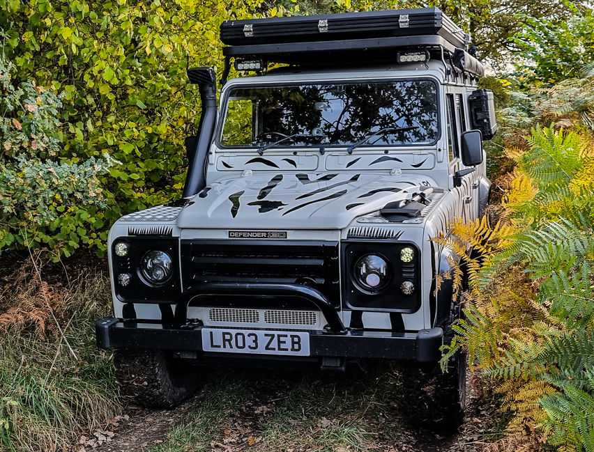 Click to view full size image