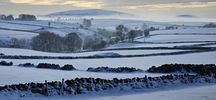 Filename : 1000033649.jpg
Filesize : 341KB
Dimensions : 1750x809
Date added : Jan 11, 2025 1000033649.jpg