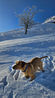 Filename : 1000033664.jpg
Filesize : 3138KB
Dimensions : 1750x3128
Date added : Jan 11, 2025 1000033664.jpg