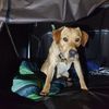 Filename : 20210528_192607.jpg
Filesize : 392KB
Dimensions : 1209x1209
Date added : May 28, 2021 20210528_192607.jpg