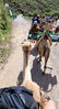 Filename : 20221021_125453~0.jpg
Filesize : 3285KB
Dimensions : 1750x3223
Date added : Oct 21, 2022 20221021_125453~0.jpg