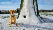 Filename : 20230310_093633+%281%29.jpg
Filesize : 1535KB
Dimensions : 1750x988
Date added : Mar 10, 2023 20230310_093633+%281%29.jpg
