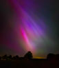Filename : 20240510_234851.jpg
Filesize : 447KB
Dimensions : 1750x2013
Date added : May 11, 2024 20240510_234851.jpg