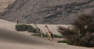 Filename : IMG_2521.jpg
Filesize : 749KB
Dimensions : 1750x921
Date added : Aug 30, 2023 IMG_2521.jpg