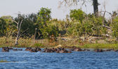Filename : IMG_4362.jpg
Filesize : 836KB
Dimensions : 1750x1036
Date added : Feb 15, 2025 IMG_4362.jpg