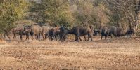 Filename : IMG_4413-1.jpg
Filesize : 595KB
Dimensions : 1500x753
Date added : Aug 21, 2018 IMG_4413-1.jpg
