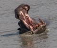 Filename : IMG_4942.jpg
Filesize : 578KB
Dimensions : 1500x1253
Date added : Aug 20, 2018 IMG_4942.jpg