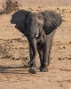 Filename : IMG_5002-1.jpg
Filesize : 952KB
Dimensions : 1211x1500
Date added : Aug 21, 2018 IMG_5002-1.jpg
