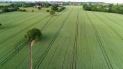 Filename : barley2_sml.jpg
Filesize : 487KB
Dimensions : 1200x675
Date added : Jan 03, 2018 barley2_sml.jpg
