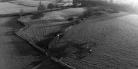 Filename : cattle.jpg
Filesize : 259KB
Dimensions : 1040x522
Date added : Apr 18, 2016 cattle.jpg