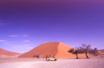 Filename : dune45.jpg
Filesize : 48KB
Dimensions : 800x523
Date added : Dec 18, 2015 dune45.jpg