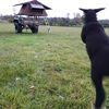 Filename : gfdgsdgd.jpg
Filesize : 1191KB
Dimensions : 1750x1750
Date added : May 03, 2021 gfdgsdgd.jpg