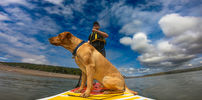 Filename : w3.jpg
Filesize : 698KB
Dimensions : 1750x864
Date added : Aug 04, 2022 w3.jpg