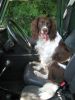 Filename : corn run 002.jpg
Filesize : 38KB
Dimensions : 360x480
Date added : Mar 30, 2013 corn run 002.jpg