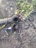 Filename : image~4.jpeg
Filesize : 396KB
Dimensions : 768x1024
Date added : May 08, 2016 image~4.jpeg