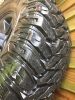 Filename : IMG_0167.JPG
Filesize : 1164KB
Dimensions : 1750x2333
Date added : Nov 19, 2016 IMG_0167.JPG