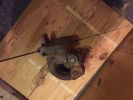 Filename : IMG_0322.JPG
Filesize : 443KB
Dimensions : 1750x1312
Date added : Feb 19, 2017 IMG_0322.JPG