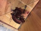Filename : IMG_0323~0.JPG
Filesize : 494KB
Dimensions : 1750x1312
Date added : Feb 19, 2017 IMG_0323~0.JPG