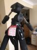 Filename : IMG_0446.jpg
Filesize : 62KB
Dimensions : 480x640
Date added : Jul 05, 2015 IMG_0446.jpg