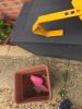 Filename : IMG_0479.JPG
Filesize : 654KB
Dimensions : 1750x2333
Date added : Apr 02, 2017 IMG_0479.JPG