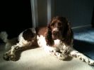 Tia in the sun.jpg