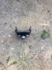 Filename : IMG_2074.JPG
Filesize : 1792KB
Dimensions : 1750x2333
Date added : Jul 07, 2017 IMG_2074.JPG