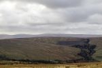 Filename : 1D4_0014.jpg
Filesize : 549KB
Dimensions : 1750x1166
Date added : Nov 05, 2016 1D4_0014.jpg