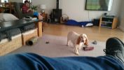 Filename : DSC_0001.JPG
Filesize : 254KB
Dimensions : 1750x984
Date added : Mar 20, 2016 DSC_0001.JPG