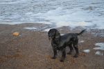 Filename : DSC_0430.JPG
Filesize : 182KB
Dimensions : 800x532
Date added : Dec 01, 2013 DSC_0430.JPG