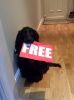 Filename : image~1.jpeg
Filesize : 809KB
Dimensions : 1936x2592
Date added : Dec 11, 2015 image~1.jpeg