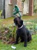 Filename : image.jpg
Filesize : 1354KB
Dimensions : 1536x2048
Date added : May 06, 2014 image.jpg