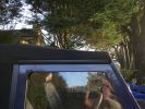 Filename : IMG_0619.JPG
Filesize : 678KB
Dimensions : 1750x1312
Date added : Oct 02, 2016 IMG_0619.JPG